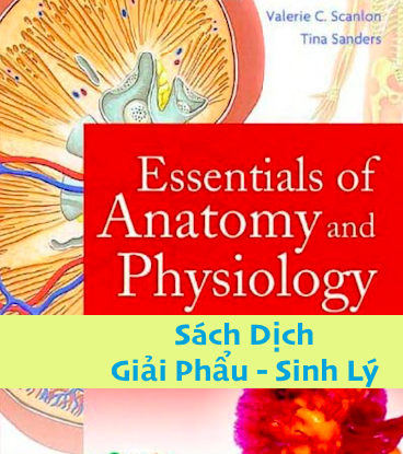 [VIP] Essentials of  Anatomy and Physiology